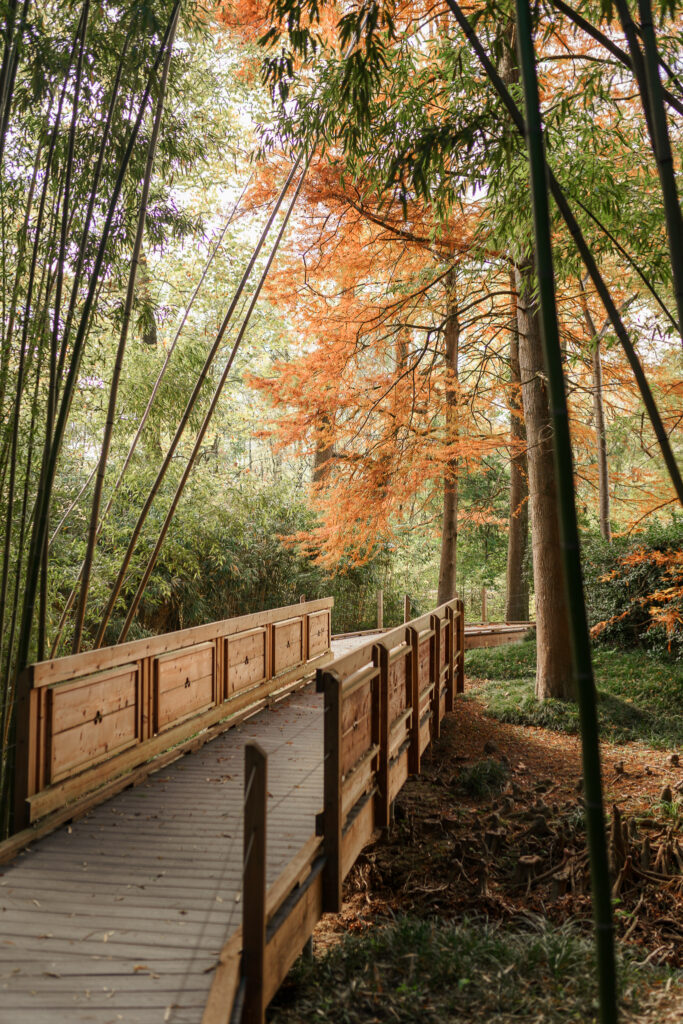 Birmingham botanical gardens wedding venue bridge with soft light and orange leaves